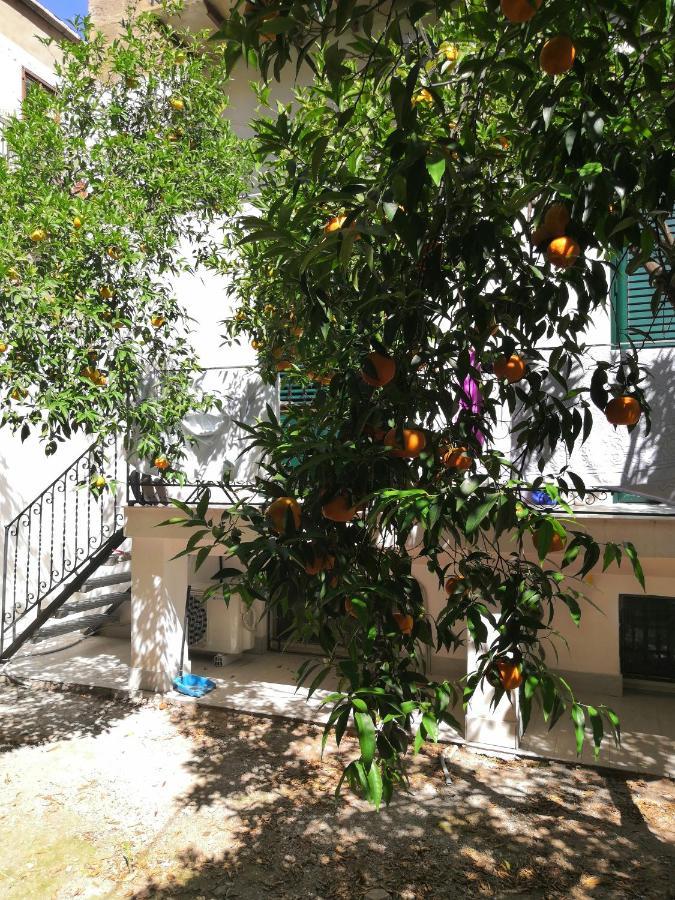 Garden House: Apartments And Rooms For Holidays Palermo Exterior photo